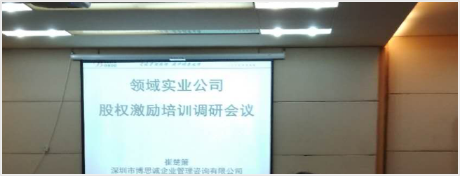 领域公司股权激励培训调研会议之感想
